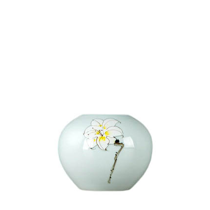 Compatible porcelain Jahrriesnge  for vase cna0978 