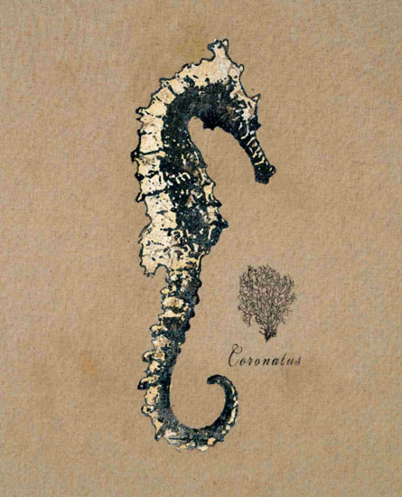 Compatible Still Life Jahrriesnge  for seahorse-lpf00180 