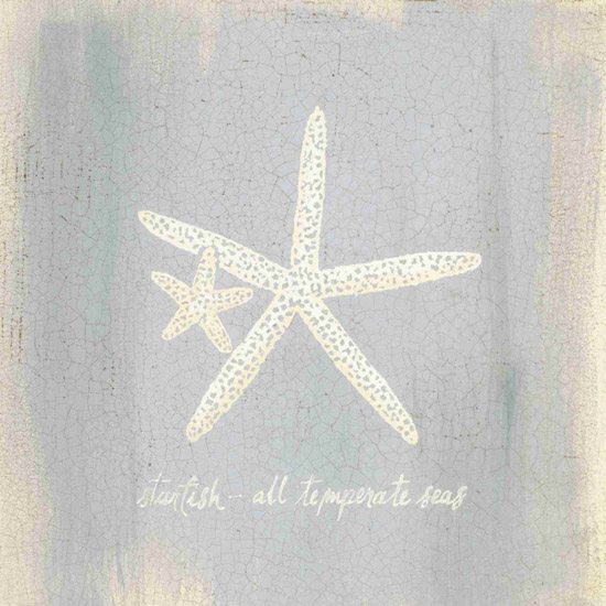 Compatible Still Life Jahrriesnge  for starfish-lpf00185 