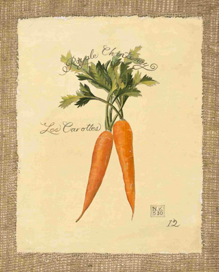 Compatible Still Life Jahrriesnge  for carrot-lpf00284 