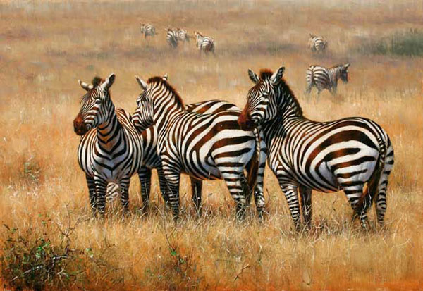 Compatible Animals Jahrriesnge  for African-Zebra-lpf02545 