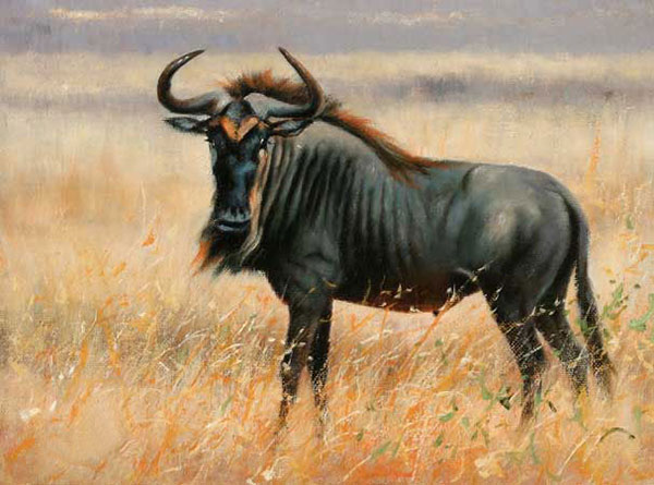 Compatible Animals Jahrriesnge  for wildebeest-lpf02552 