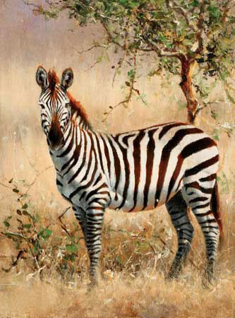 Compatible Animals Jahrriesnge  for zebra-lpf02570 