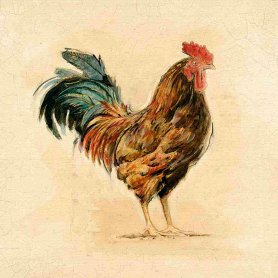 Compatible Animals Jahrriesnge  for cock lpf10564 