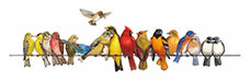 Jahrriesnge birds song lpg1001 Animals